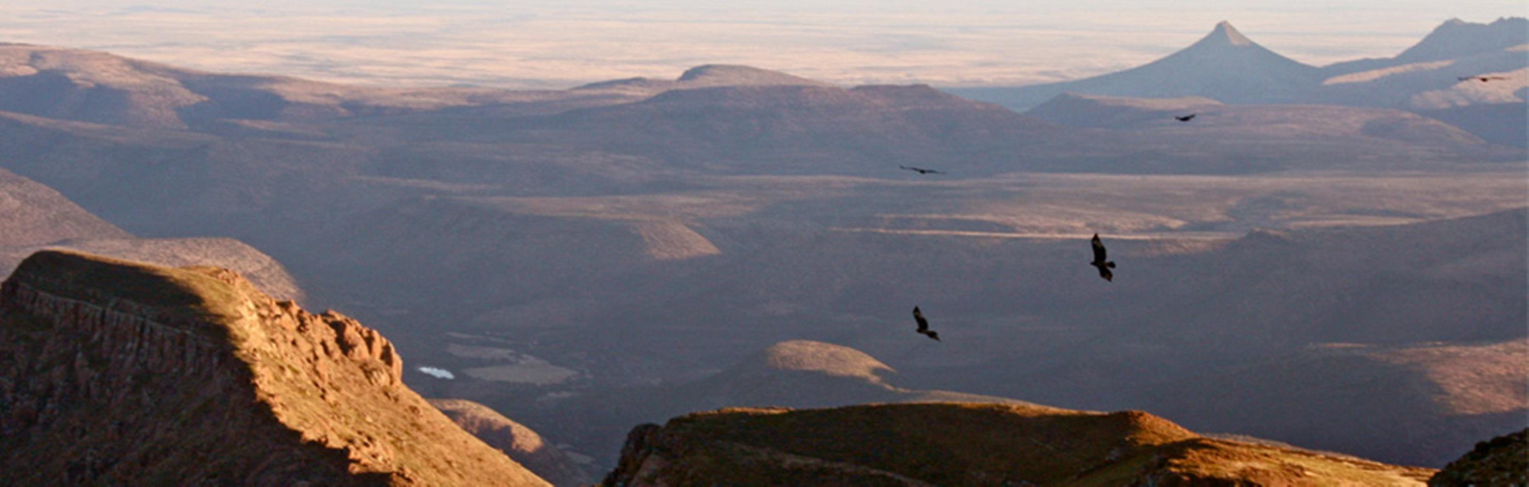Mount Camdeboo Hotell Graaff-Reinet Eksteriør bilde