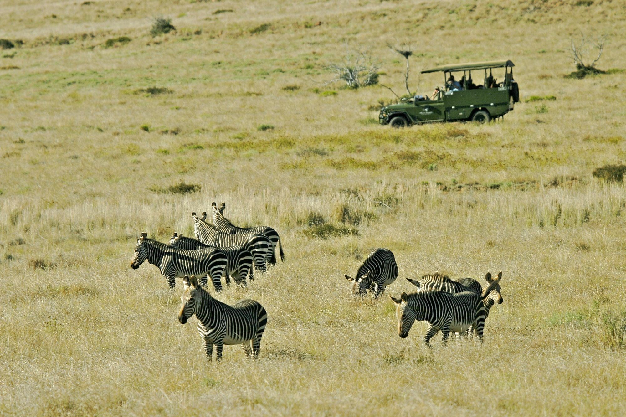 Mount Camdeboo Hotell Graaff-Reinet Eksteriør bilde